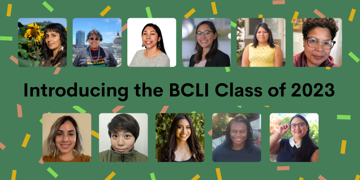 BCLI Class of 2023 Page Header resized